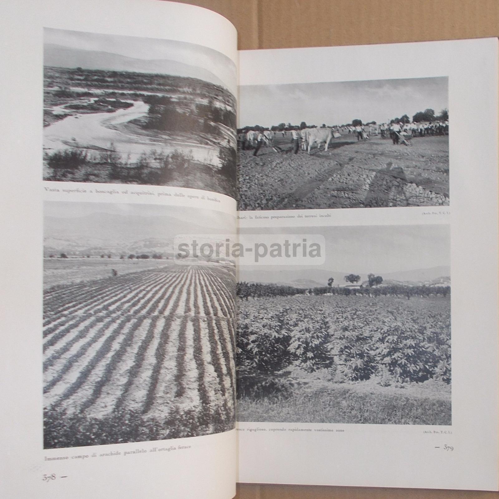 Agricoltura Regionale Italiana, Zootecnia, Vigne, Oliveti, Cereali, Pastorizia, 2 Voll immagine 1