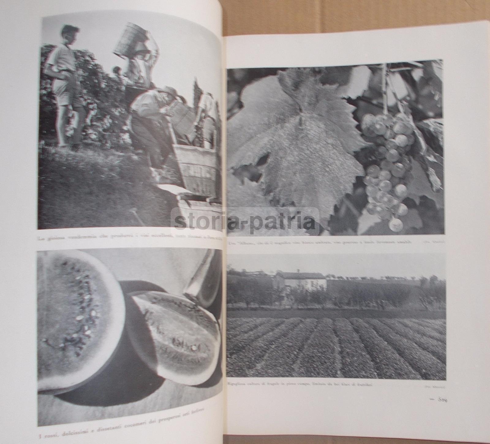 Agricoltura Regionale Italiana, Zootecnia, Vigne, Oliveti, Cereali, Pastorizia, 2 Voll immagine 6
