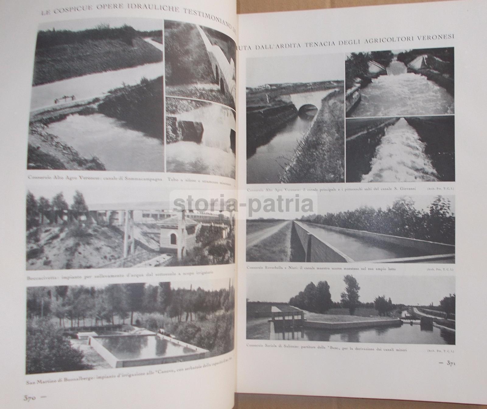 Agricoltura Regionale Italiana, Zootecnia, Vigne, Oliveti, Cereali, Pastorizia, 2 Voll immagine 7