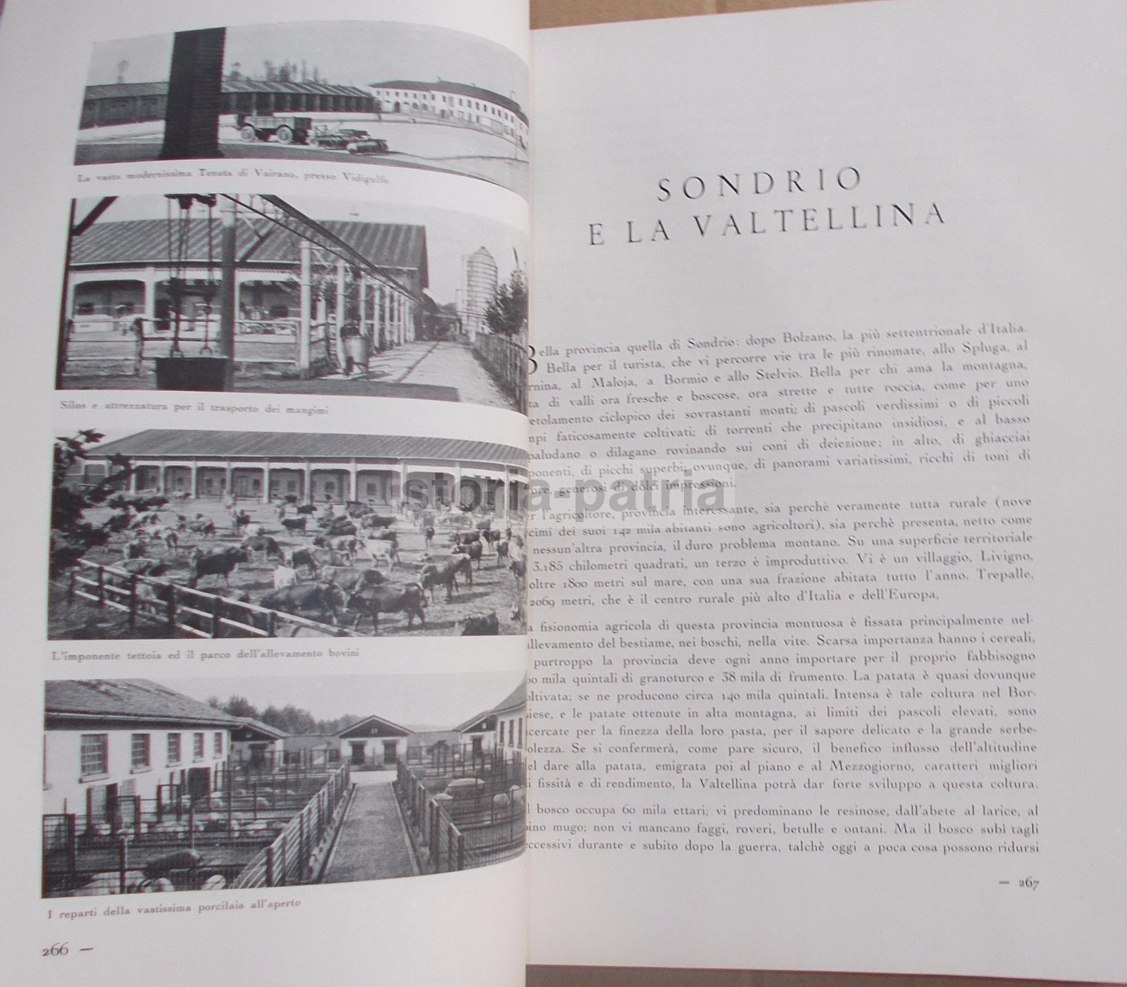 Agricoltura Regionale Italiana, Zootecnia, Vigne, Oliveti, Cereali, Pastorizia, 2 Voll immagine 8