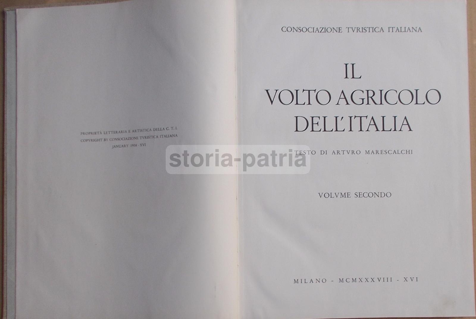 Agricoltura Regionale Italiana, Zootecnia, Vigne, Oliveti, Cereali, Pastorizia, 2 Voll immagine 14