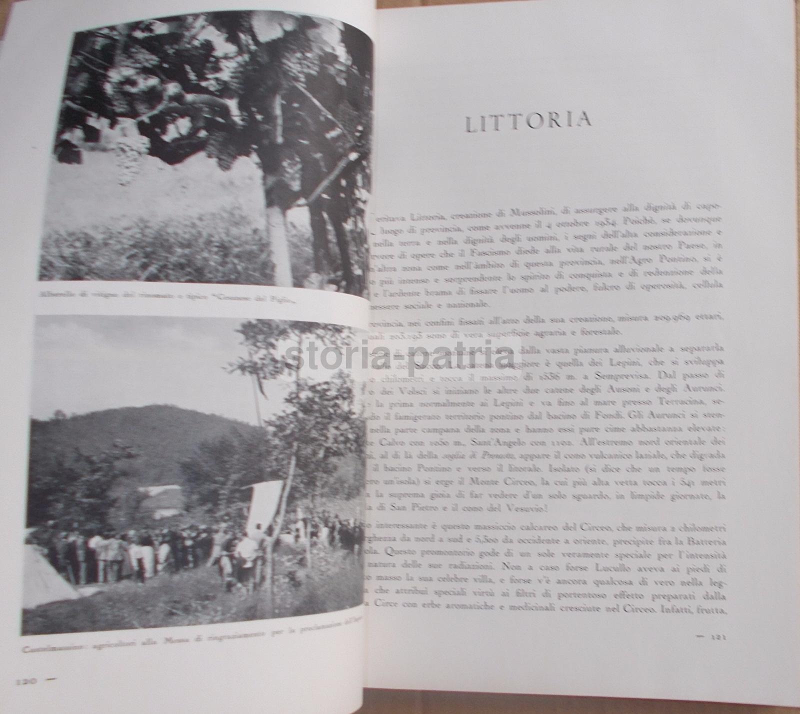 Agricoltura Regionale Italiana, Zootecnia, Vigne, Oliveti, Cereali, Pastorizia, 2 Voll immagine 19