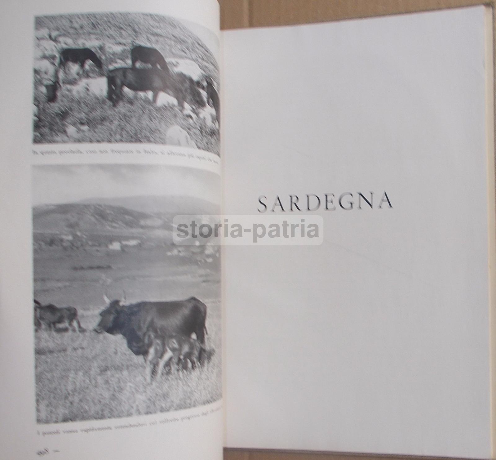 Agricoltura Regionale Italiana, Zootecnia, Vigne, Oliveti, Cereali, Pastorizia, 2 Voll immagine 21