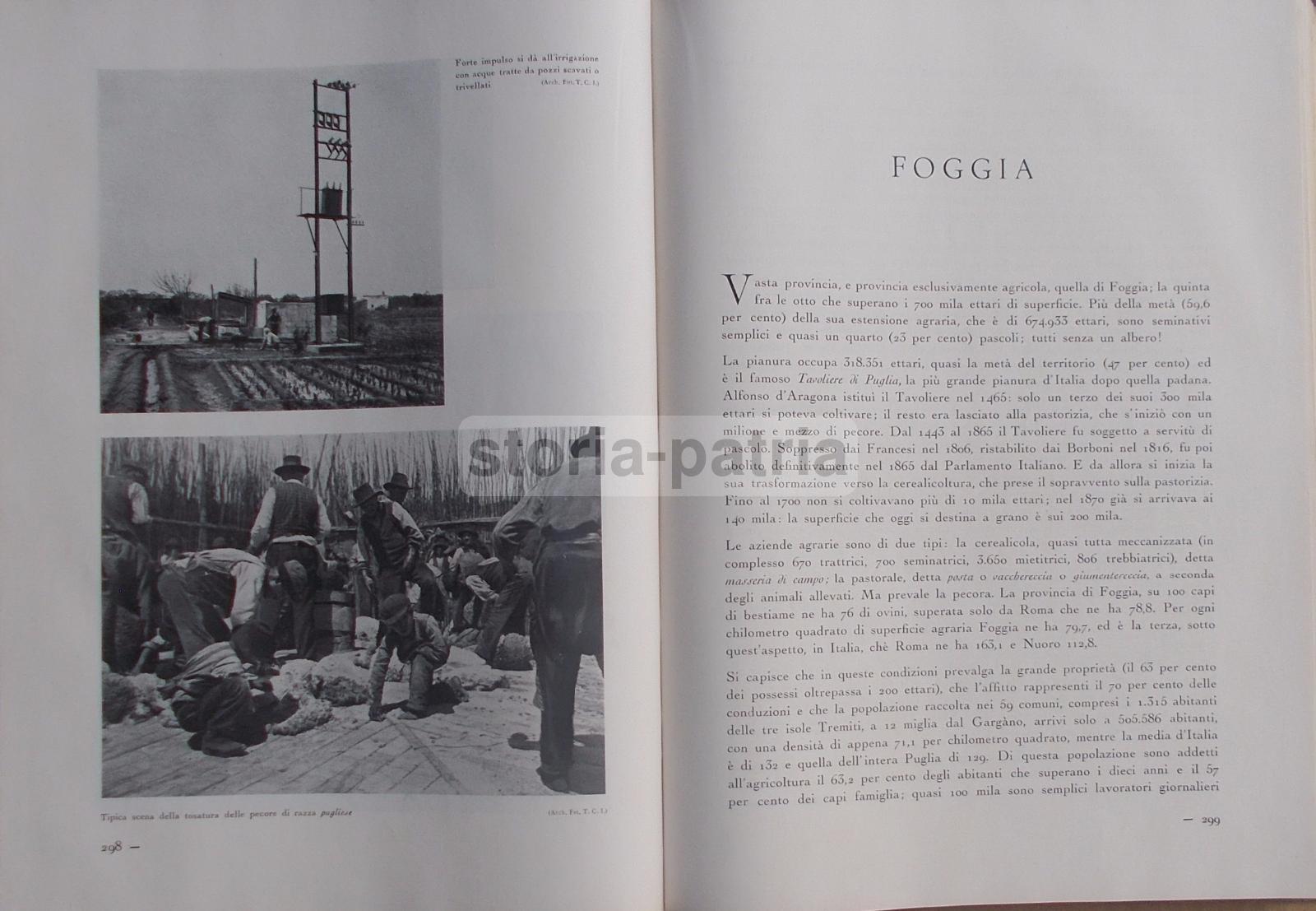 Agricoltura Regionale Italiana, Zootecnia, Vigne, Oliveti, Cereali, Pastorizia, 2 Voll immagine 24