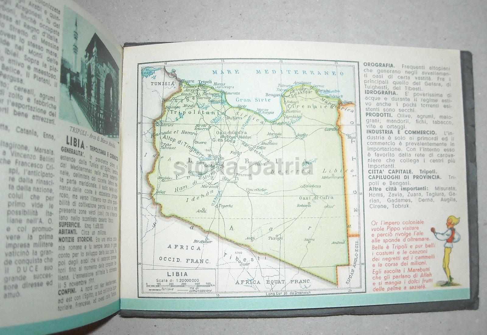Farmaceutica, Raro Atlante Geografico Mobile, Colonie, Cartografia, Rovigo immagine 12